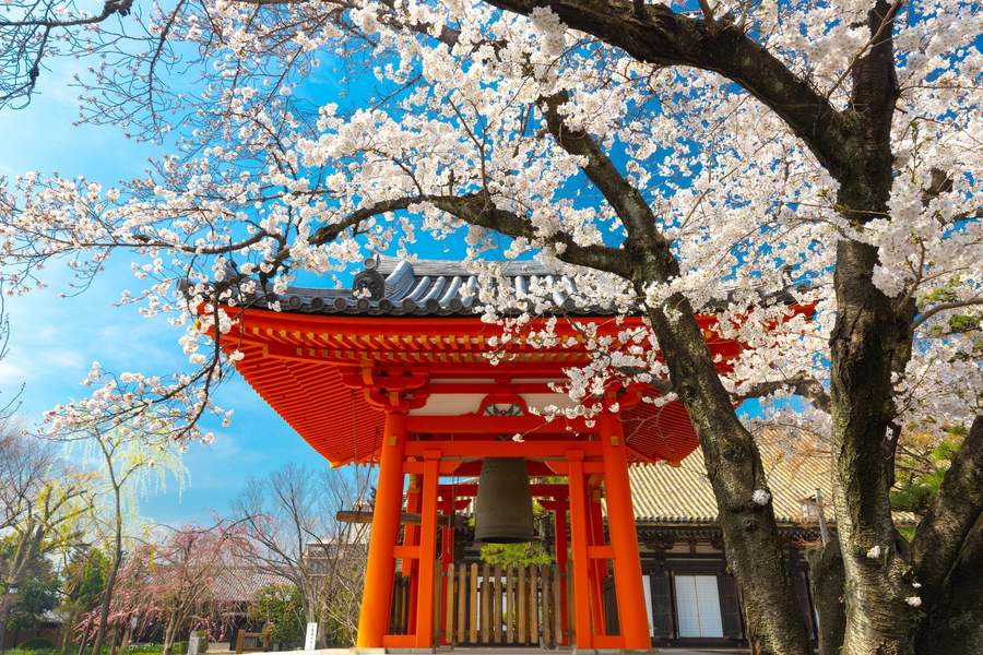 Alta cocina japonesa