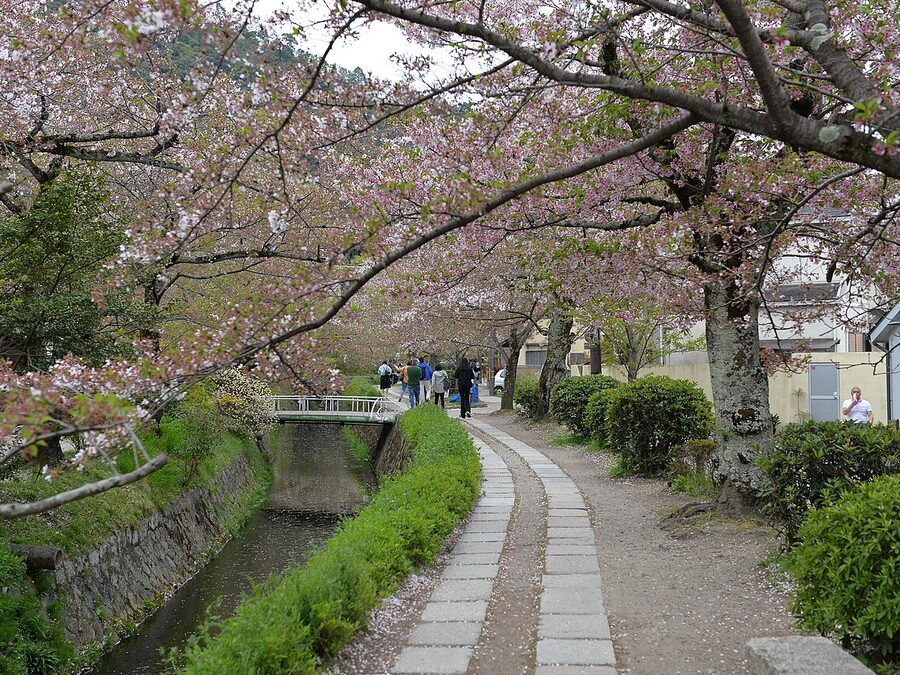 Sendero del Paseo del Filósofo junto al canal
